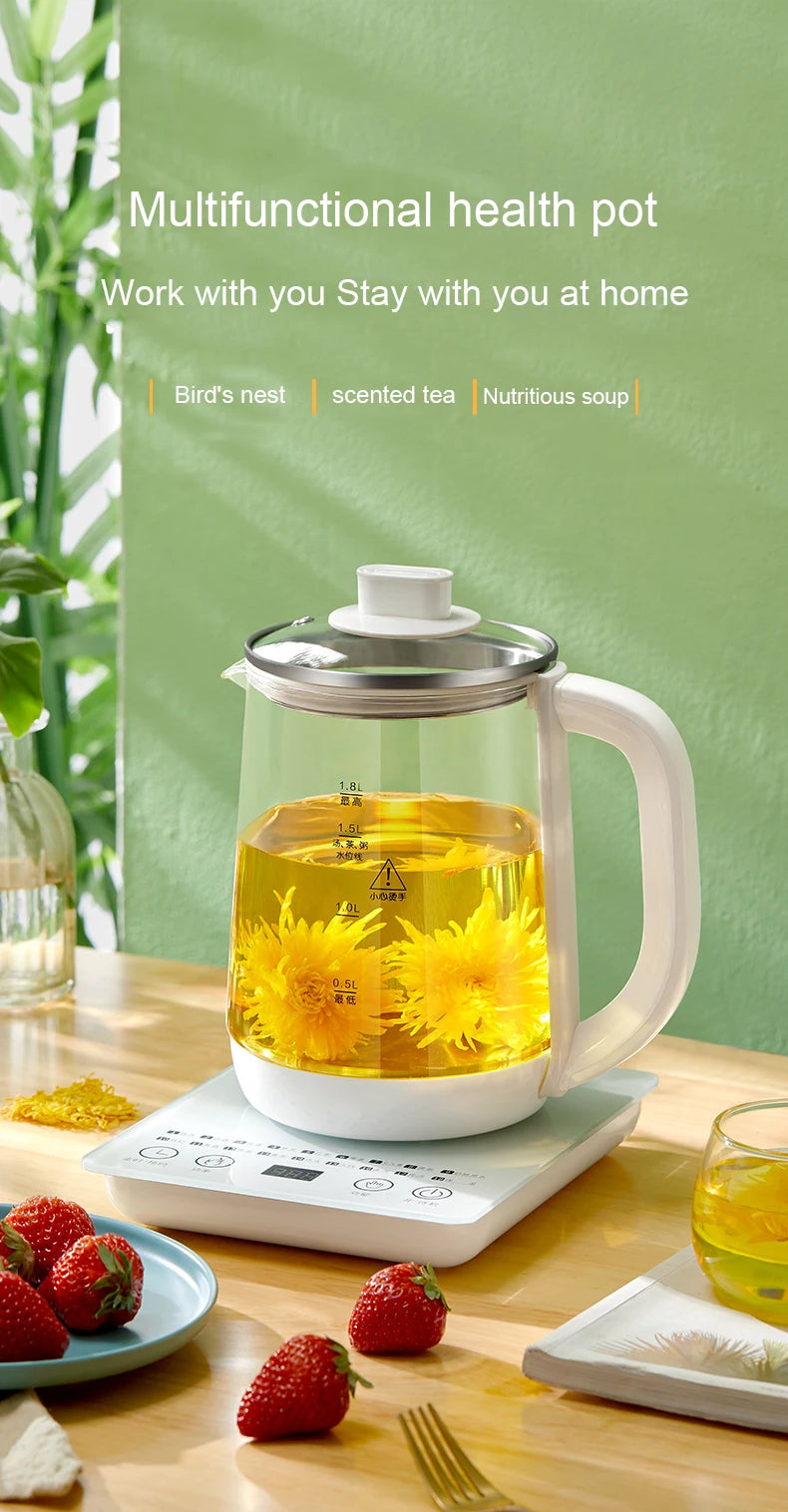 110V/220V Multifunction Electric Preserving Health Kettle