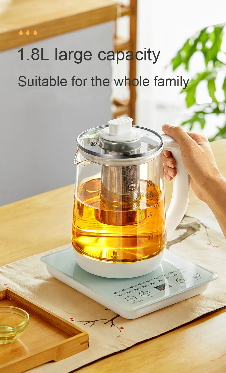 110V/220V Multifunction Electric Preserving Health Kettle