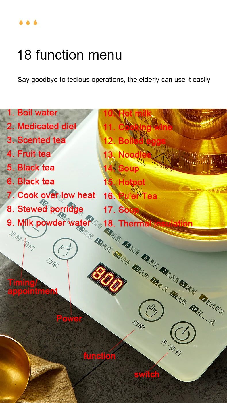 110V/220V Multifunction Electric Preserving Health Kettle